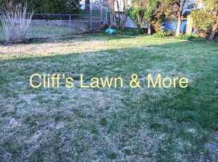 Cleanups by Charles Cliff for Christina C. in Toledo, OH