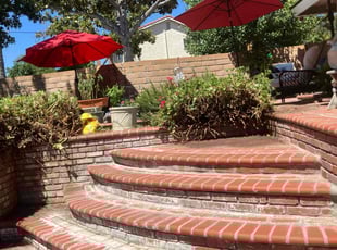 Bush Trimming by George Islas for Susan P. in Fullerton, CA