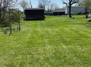 Amanda D.'s Lawn Maintenance service result