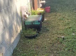 Cleanups by Carl Griffith for Bernadette J. in Tampa, FL