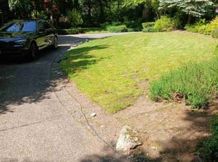 Weeding by Mario Munoz for Pankaj M. in Redmond, WA