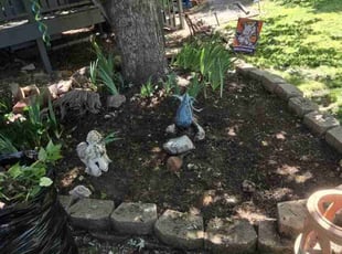 Weeding by Lindsey Barone for Ty T. in Colorado Springs, CO