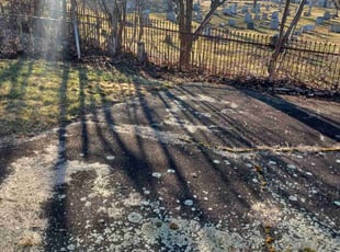 Leaf Removal by James Kasperowski for Joe L. in Scranton, PA