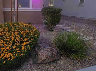 Bush Trimming by Lamont Johnson for Jenna S. in North Las Vegas, NV