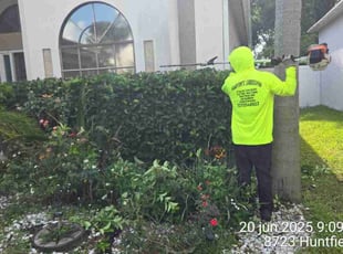 Bush Trimming by Elvis Pintado for Stephen N. in Tampa, FL