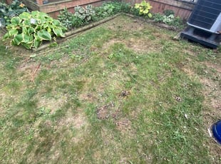 Cleanups by Mark Yohman for Christine P. in Canal Winchester, OH