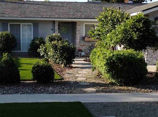 Bush Trimming by Ryan Gault for Sara P. in Fresno, CA