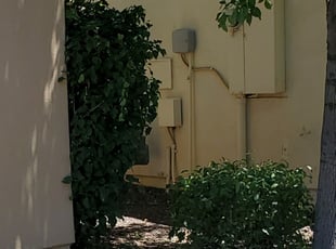 Bush Trimming by Damian Hudson for Jordan B. in Surprise, AZ