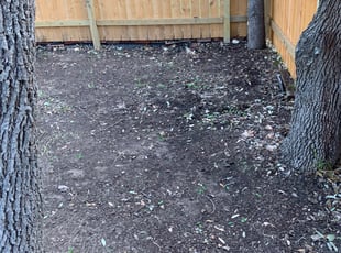 Leaf Removal by Stanmore Hinds for Rudy C. in San Antonio, TX