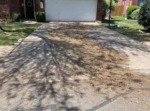 Leaf Removal by Jennifer Querrey for Jon C. in Cedar Park, TX