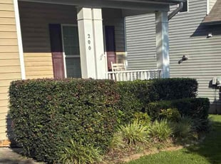 Bush Trimming by Ryan Gerber for Angel D. in Holly Springs, NC