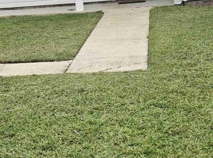 Lisa G.'s Lawn Service service result