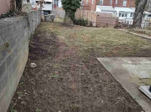 Leaf Removal by Allan Roberts for Gordon K. in Washington, DC