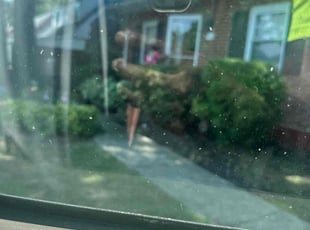 Bush Trimming by Deven Coles for Erica W. in Yeadon, PA