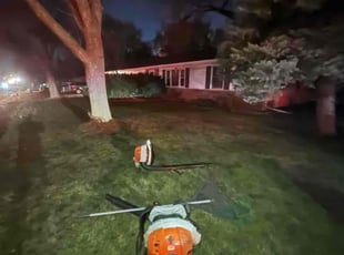 Leaf Removal by Ben Matthews for Jaqi b. in Bloomington, MN