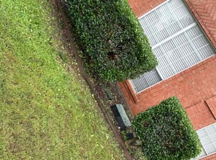 Bush Trimming by Alfredo Cisneros for Tony V. in Frisco, TX