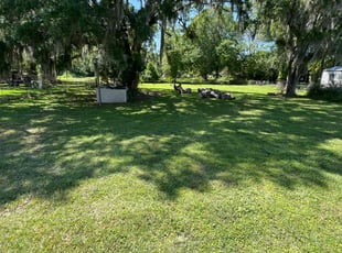 Emily W.'s Lawn Maintenance service result