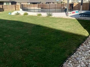 Elba S.'s Grass Cutting service result