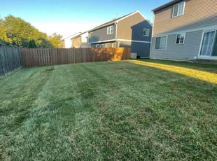 Alex V.'s Lawn Service service result