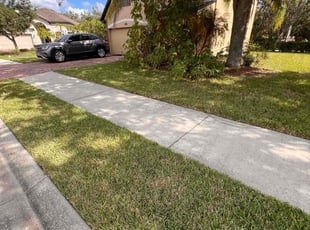Rong S.'s Lawn Service service result