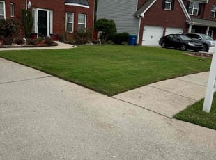 Mohamed E.'s Lawn Mowing Service service result