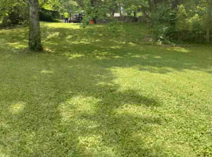 Cleanups by Noah Day for Jon H. in Chattanooga, TN