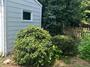 Bush Trimming by Sam Kaczmarek for Robert V. in Richmond, VA