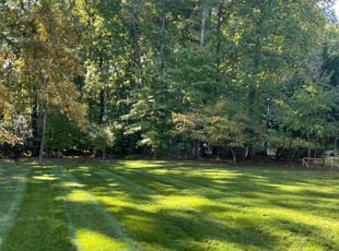 Jairus T.'s Yard Cutting service result
