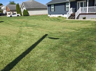 Alex M.'s Lawn Maintenance service result