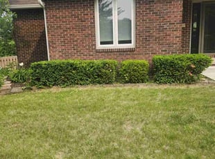 Bush Trimming by Javis Hogan for Connor G. in West Des Moines, IA