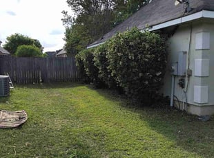 Bush Trimming by Thomas Patillo for Andrew L. in Warner Robins, GA