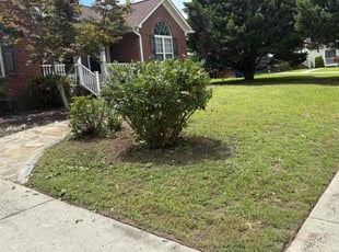 Bush Trimming by Jeremiah Tredway for Reece H. in Raeford, NC