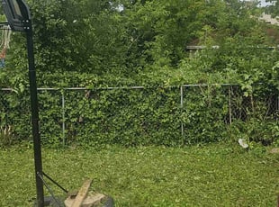 Leaf Removal by Robert Dowdy for Mona E. in Milwaukee, WI