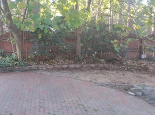 Bush Trimming by Jeremy Hassell for Darlene B. in Yorktown, VA