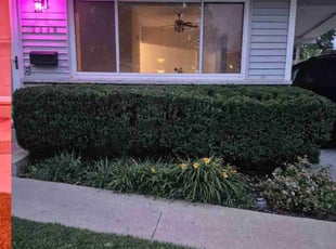 Bush Trimming by Anthony Wagner for Lina B. in Florissant, MO