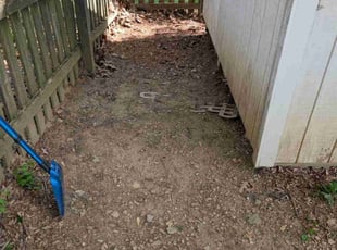 Leaf Removal by Keith Cannady for Sharon N. in Hanover, PA