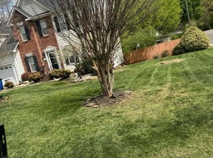 Marquita J.'s Yard Cutting service result