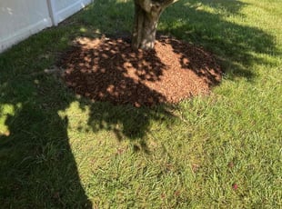 Mulching by Carlos Portillo for Debra R. in Fort Washington, MD