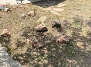Cleanups by Tom Davis for John R. in Denver, CO