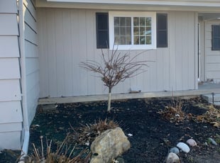 Landscaping by Kaileb Brown for Sam W. in Prairie Village, KS