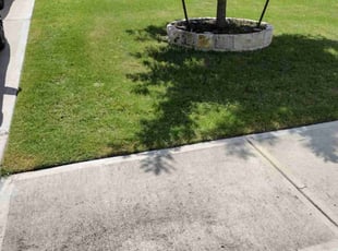 Richard B.'s Grass Cutting service result
