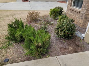 Bush Trimming by Carlos Wright for Nate M. in Gwinnett County, GA