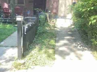 Cleanups by Chris Stewart for Sarai P. in Washington, DC