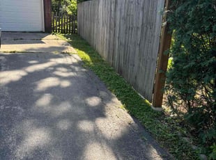 Weeding by Adrian Mendoza for Ralph b. in Carpentersville, IL