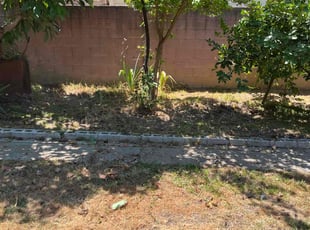 Cleanups by Fernando Gomez Rodriguez for Dominique V. in Los Angeles, CA