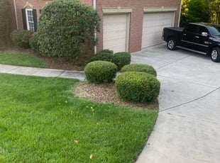Bush Trimming by Chance Rosenberger for Aj J. in Harrisburg, NC