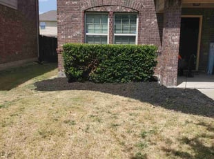 Mulching by Miguel Perez for Amanda B. in Frisco, TX