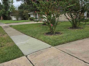 Irionne C.'s Lawn Mowing service result