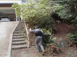 Leaf Removal by Kevin Arndt for Florence J. in Bellingham, WA