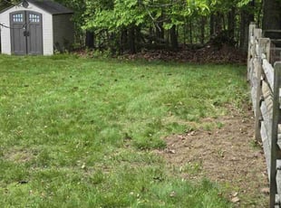 Leaf Removal by Kenneth Giarratano for Zakia M. in Mount Olive, NJ